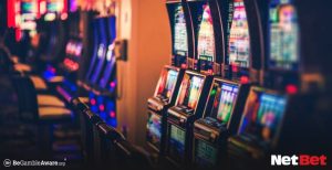 3633bet|Conheça bingo online no Brasil Participe ao Vivo